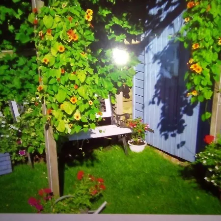 Appartement Casa Bachmann